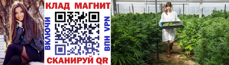 Виды наркотиков купить Октябрьск Героин COCAIN Мефедрон Галлюциногенные грибы Марихуана АМФ